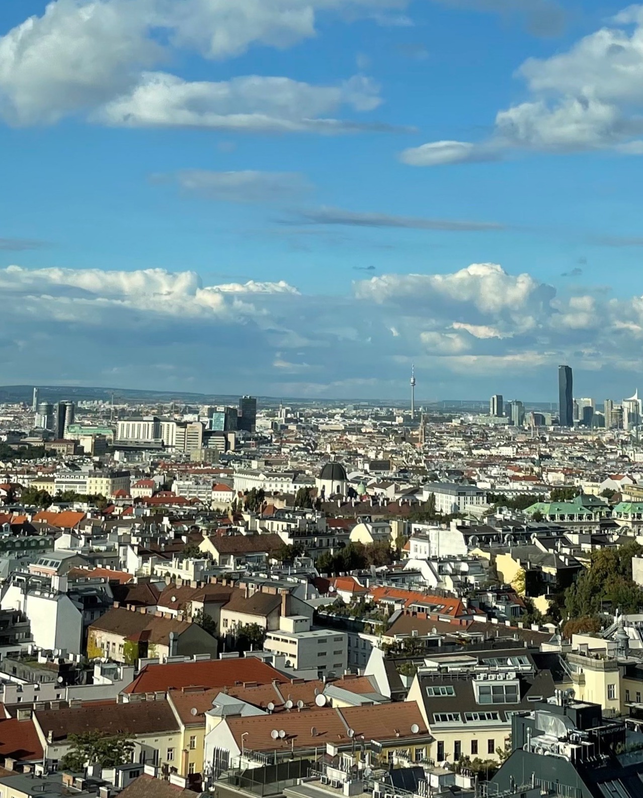 Vienna pic-1